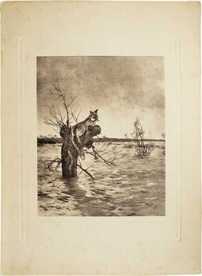 Неизвестный художник (И. Шмицбергер). В критическом положении